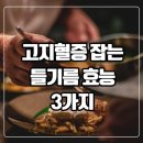 고지혈증 잡는 들기름효능 3가지 이미지