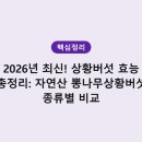 장수약용버섯 | 상황버섯 종류별 차이｜효능·복용법·구매팁 한눈에