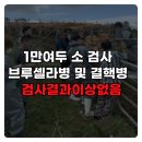 청정우리소 이미지