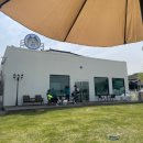 도그투게더(Dog together) 이미지