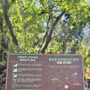 수락산 등산코스 추천, 석림사 주차부터 기차바위 주봉 후기