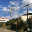 금산군 관광안내소 이미지