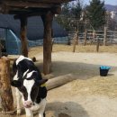 건희농장 이미지