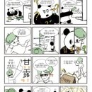 東仁通文(동인통문)
