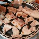 파티마당 이미지