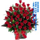 삼양교통(주) 이미지