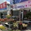 동림꽃농원 이미지