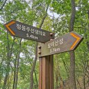 향수산 정상 이미지