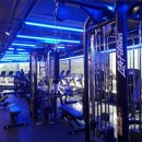 레드스타필드 휘트니스 이미지