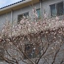 (주)오세요 이미지