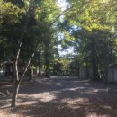 매화2길 이미지