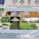 수소천국 주식회사