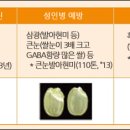 밥이보약이야 이미지