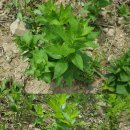 다움한의원 이미지