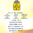 수정-116 이미지