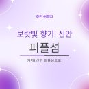 보랏빛향기 | 신안 퍼플섬 보랏빛 향기 여행 후기