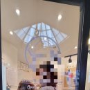 금비펫살롱 이미지