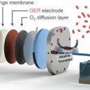 한국염소연구소 이미지