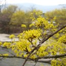 수유농원 이미지