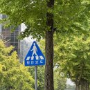 #7] 직장인 클라이밍 동아리, 말해보카 50일차, 다육이 분양, 흑백요리사 정주행, 굴먹고 급성 장염까지...
