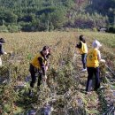 근로복지공단 정선병원 이미지