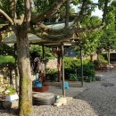 별이네 편백나무 독채 이미지