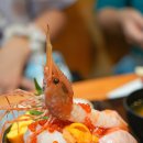 돈부리킹 | 삿포로 카이센동 1등 스시 맛집 스시돈부리 스스키노 해산물 덮밥