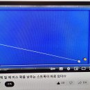 미스큐당구클럽 티스토리