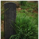 미륵원지 이미지