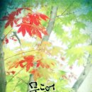 란다방 Daum카페
