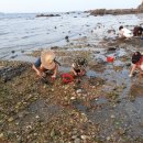 바다로 가는 길목 이미지