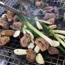 대덕초등학교 | 대구 앞산 빨래터 공원 겨울정원 점등 시간 토요일 주차 방문 후기