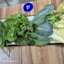 단양흑마늘쌈밥