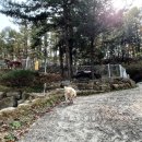 박순호의 아이슬란드 이미지