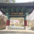 송림장 | 공주여행4탄]봄이 예쁜 공주 마곡사
