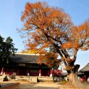 명륜당