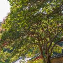 김면장군유적지 이미지