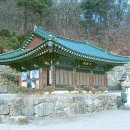 ＠ 늦가을 산사 나들이 ~ 천년 묵은 은행나무로 유명한 양평 용문산 용문사 이미지