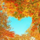 한마음쉼터 이미지