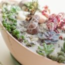 화목교회 이미지