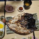 우미가메