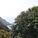 선유도주유소 이미지