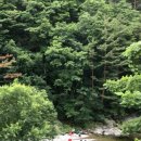 법수치여울목펜션 이미지