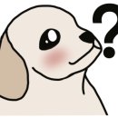 리버풀동물병원 이미지