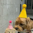 멈무푸드 이미지