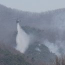 대원2호 이미지