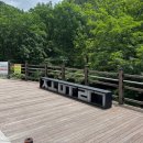 조무락계곡 | [서울 근교 계곡] 가평 조무락계곡 주차 매점 다이빙 화장실 6월 말 방문 후기 등