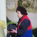 성사중학교 이미지