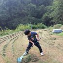 보은산소 Daum카페
