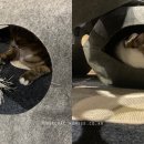 놀아줘PC 이미지